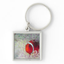 Paupau New Guinea, Great Barrier Reef, Keychain