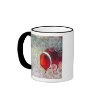 Paupau New Guinea, Great Barrier Reef, Mug