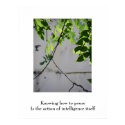Pausing Leaves/ poster posters