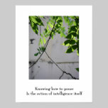Pausing Leaves/ poster posters