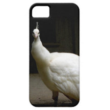 Pavo real blanco hermoso iPhone 5 funda