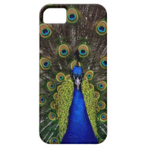 Pavo real hermoso iPhone 5 Case-Mate cobertura