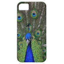 Pavo real iPhone 5 Case-Mate cárcasas