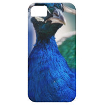 Pavo real que mira detrás usted iPhone 5 Case-Mate fundas