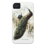 Pavos reales de reclinación - personalizar Case-Mate iPhone 4 cárcasas