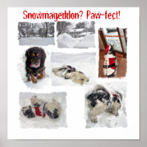 Paw-fect Snowmageddon Posters