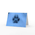 Paw Print cards by louwhoz Paw Print cards