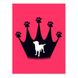 Paw Print Crown Postcard