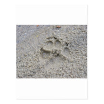 Paw Print In The Sand Postcards