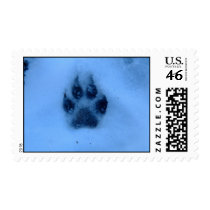 Paw Print Stamp