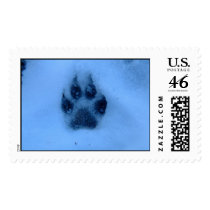 Paw Print Stamp stamps