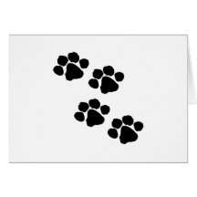 Paw Prints Card