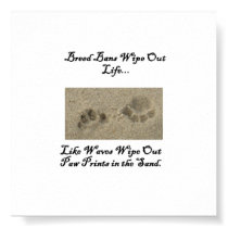 Paw Prints in the Sand by libertydogtraining Paw Prints in the Sand