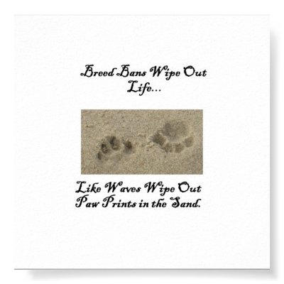 Paw Prints in the Sand by libertydogtraining