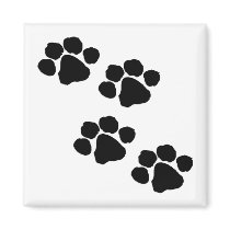 Paw Prints Magnets
