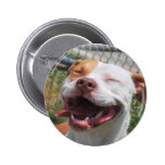 Paw Prints Pin