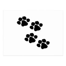 Paw Prints Postcard