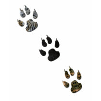 PAW PRINTS t-shirts by FUNKYPHOTOS PAW PRINTS t-shirts