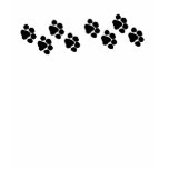 Paw Prints