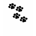 Paw Prints Paw Prints