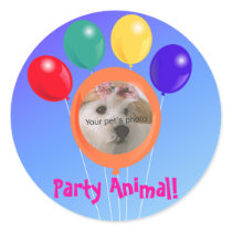 Paw-shaped balloon bouquet_Party Animal template stickers