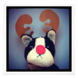 Pawliday Card invitations