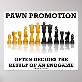 Pawn Promotion Often Decides The Result Of Endgame Poster