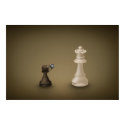 Pawn takes Queen posters by vladstudio Pawn takes Queen posters