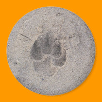 Pawprint Magnet