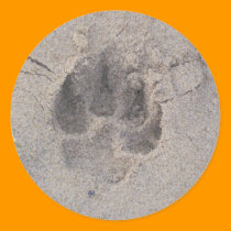 Pawprint Sticker