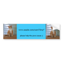 paws cause bumper sticker bumper stickers