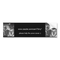 paws cause bumper sticker - A kiss bumper stickers