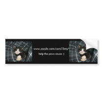 paws cause Bumper Sticker - mystical bumper stickers