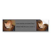 paws cause Bumper Sticker - runt bumper stickers