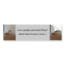 paws cause Bumper Sticker - stray one bumper stickers