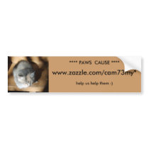 * PAWS  CAUSE,  nov. kitty bumper stickers