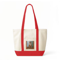 paws cause,  stray kitty bag bags