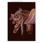 "Paws" Dozing Abyssinian Cats Greeting Cards