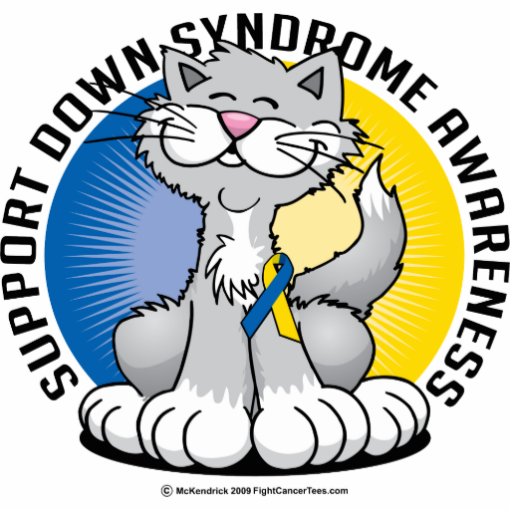 Paws for Down Syndrome Cat Photo Sculpture
