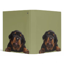 Paws For Thought Vinyl Binders