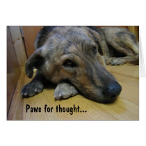 Paws for thought : Dog 2 cards