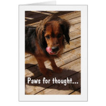 Paws for thought: Dog 2 cards