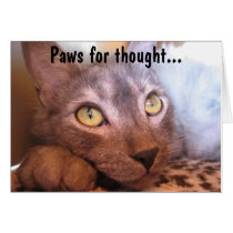 Paws For Thought Eyes cards