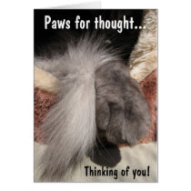 Paws for thought: Paw and Tail cards