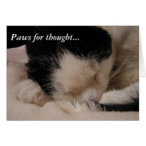Paws for thought: Sleeping Beauty cards