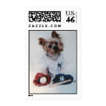 PAWS GO POSTAL - BASEBALL TERRIER STAMP