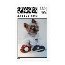 PAWS GO POSTAL - BASEBALL TERRIER STAMP