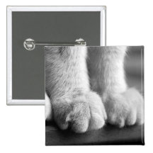 Paws of Legend Pinback Buttons