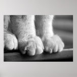 Paws of Legend Poster