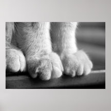Paws of Legend Poster